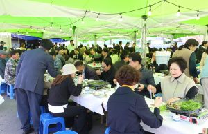 의령 가례 밭미나리 축제 13일 개막