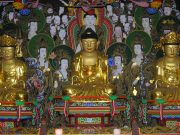 홍성 용봉사 목조여래삼존상, 충남도 유형문화유산 신규 지정