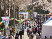 유달산 봄꽃 속으로…목포 ‘유달산 봄축제’ 4월 개최