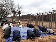 석보면 장승공원서 장승제 열려