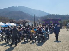 광천 오서산 벚꽃길에 봄 만개…버스킹 공연에 발길 이어져