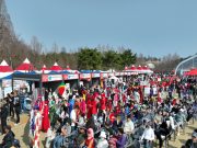 논산딸기축제 개막…달콤한 향기 속 4일간 축제 시작