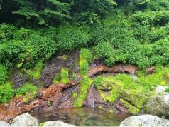 한라산 어리목계곡 용천지대 천연기념물 지정