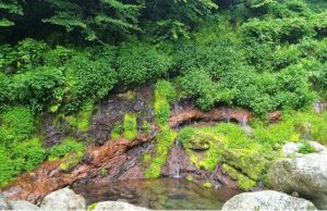 한라산 어리목계곡 용천지대 천연기념물 지정