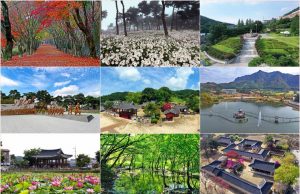 정읍 찾은 관광객 3459만 명…외지 방문객 증가에 지역 상권 활기