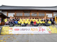 이천 백사 산수유꽃축제 성황…황금빛 봄 물결 속 3일간 마무리