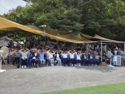 에메랄드빛 바다서 펼쳐진 캣피플의 축제… 통영 용호도 ‘고양이섬의 날’ 성료