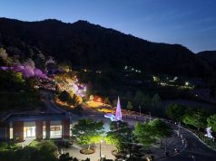 홍천 무궁화수목원, 가을밤 은하수길 걷는다