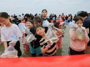 보성전어축제장에 웃음꽃…관광객들 전어잡기 체험 즐겨