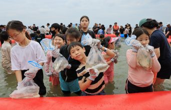 보성전어축제장에 웃음꽃…관광객들 전어잡기 체험 즐겨