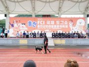 홍천서 국제 도그쇼 열린다…680두 참가해 실력 겨뤄
