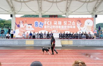 홍천서 국제 도그쇼 열린다…680두 참가해 실력 겨뤄