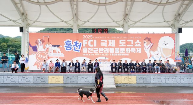 홍천서 국제 도그쇼 열린다…680두 참가해 실력 겨뤄