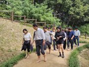 구미 해마루공원서 700여명 가을길 걸어…음악 공연도 함께