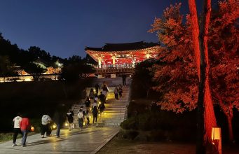 함양 상림서 첫 국가유산 야행 마무리…가을밤 역사문화 즐겨