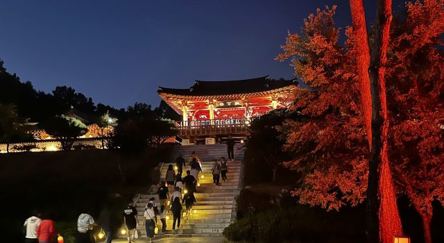 함양 상림서 첫 국가유산 야행 마무리…가을밤 역사문화 즐겨