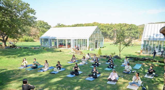 ‘잠깐 보고 떠나는 DMZ’에서 ‘하루 머무는 파주’로… Re 체험 확대