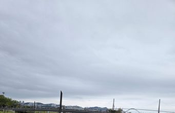 부산 북항 상어 ‘부캉이’ 21일 세 번째 바다 이송 시도