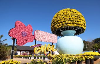 태안국화축제 30일 개막…국화 전시부터 한우 시식까지 풍성