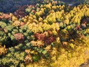 단풍부터 고산 초원·문학 산책까지…가을의 깊이를 만나는 평창