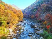 홍천 용소계곡서 가을 트레킹…피크닉·사진 촬영 즐긴다