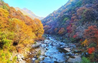 홍천 용소계곡서 가을 트레킹…피크닉·사진 촬영 즐긴다
