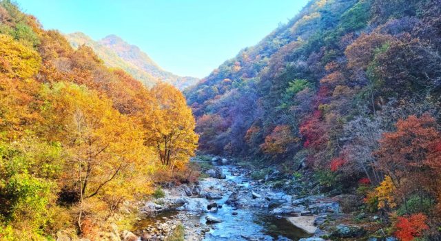 홍천 용소계곡서 가을 트레킹…피크닉·사진 촬영 즐긴다